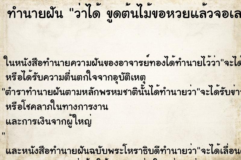 ทำนายฝัน ว่าได้ ขูดต้นไม้ขอหวยแล้วจอเลข ทำนายฝัน ว่าได้ ขูดต้นไม้ขอหวยแล้วจอเลข